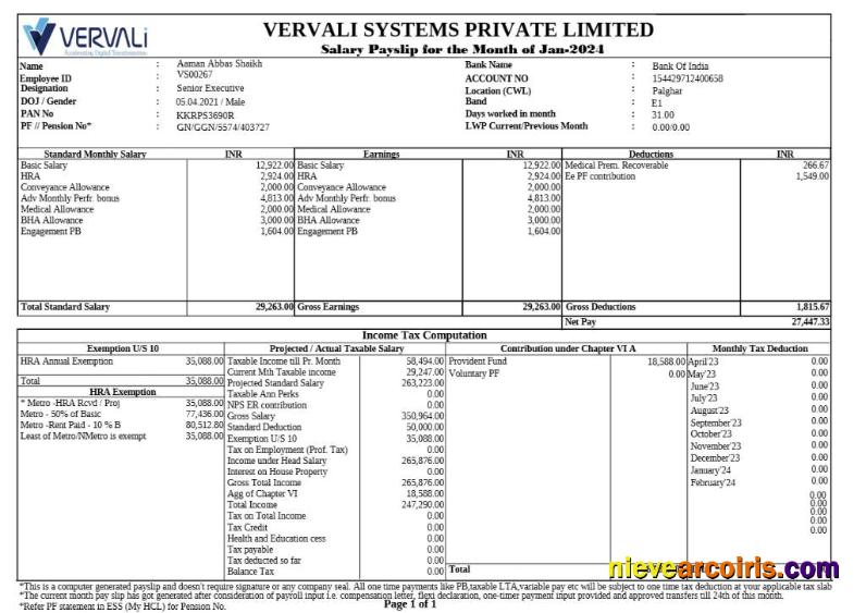 Vervali Systems software company payslip